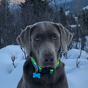 Meet your Posher, Cathy